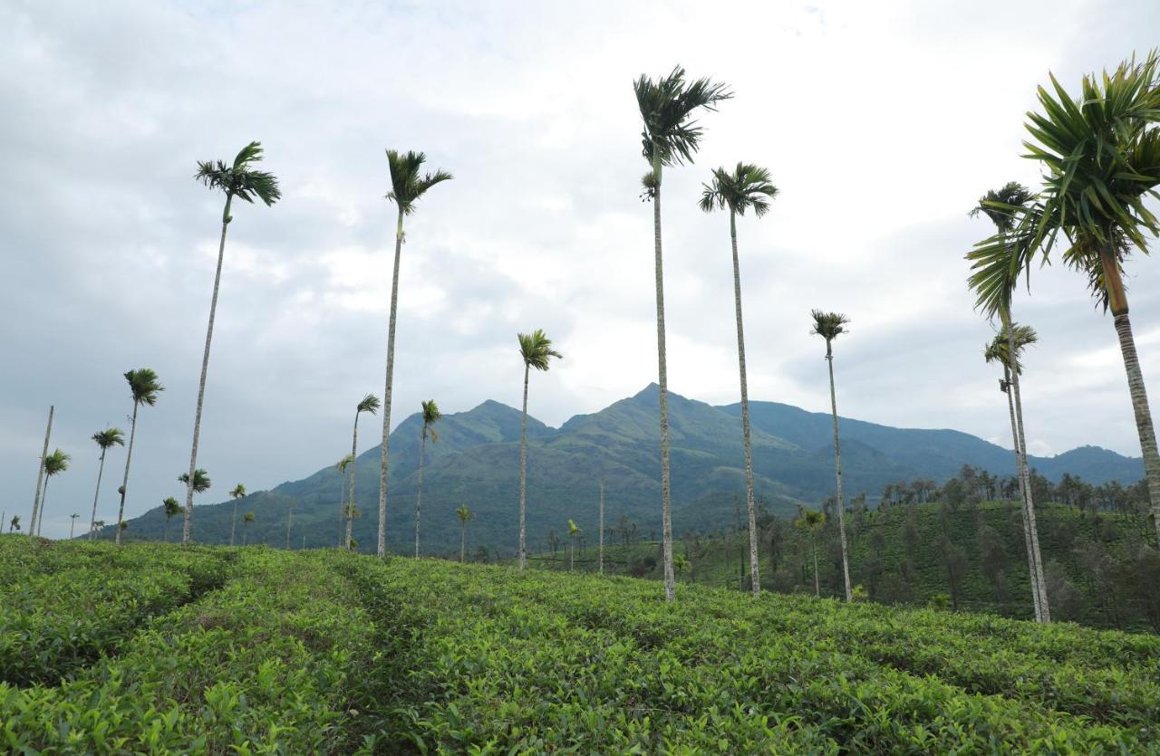 Aldora Holiday Homes Vythiri Bagian luar foto