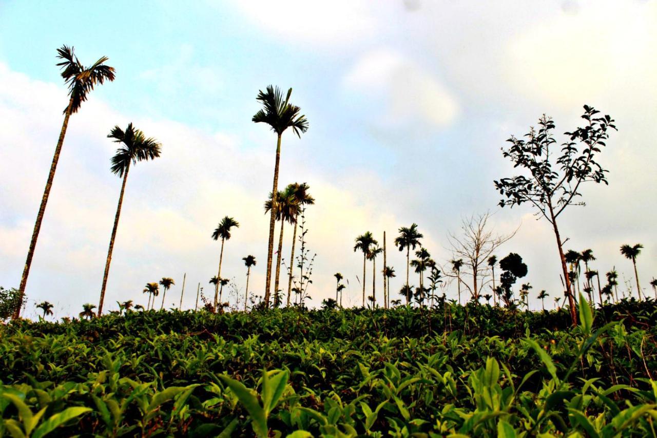 Aldora Holiday Homes Vythiri Bagian luar foto