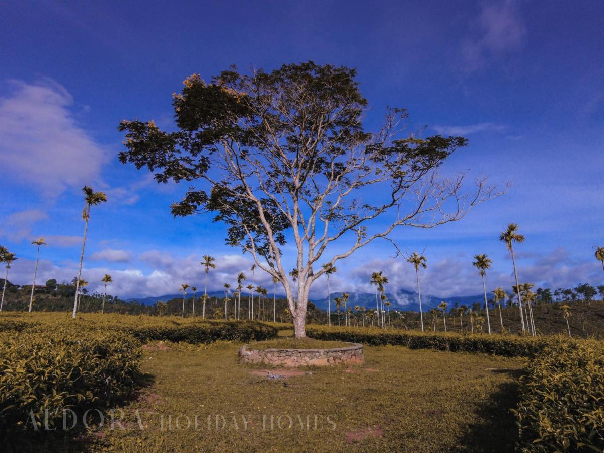 Aldora Holiday Homes Vythiri Bagian luar foto