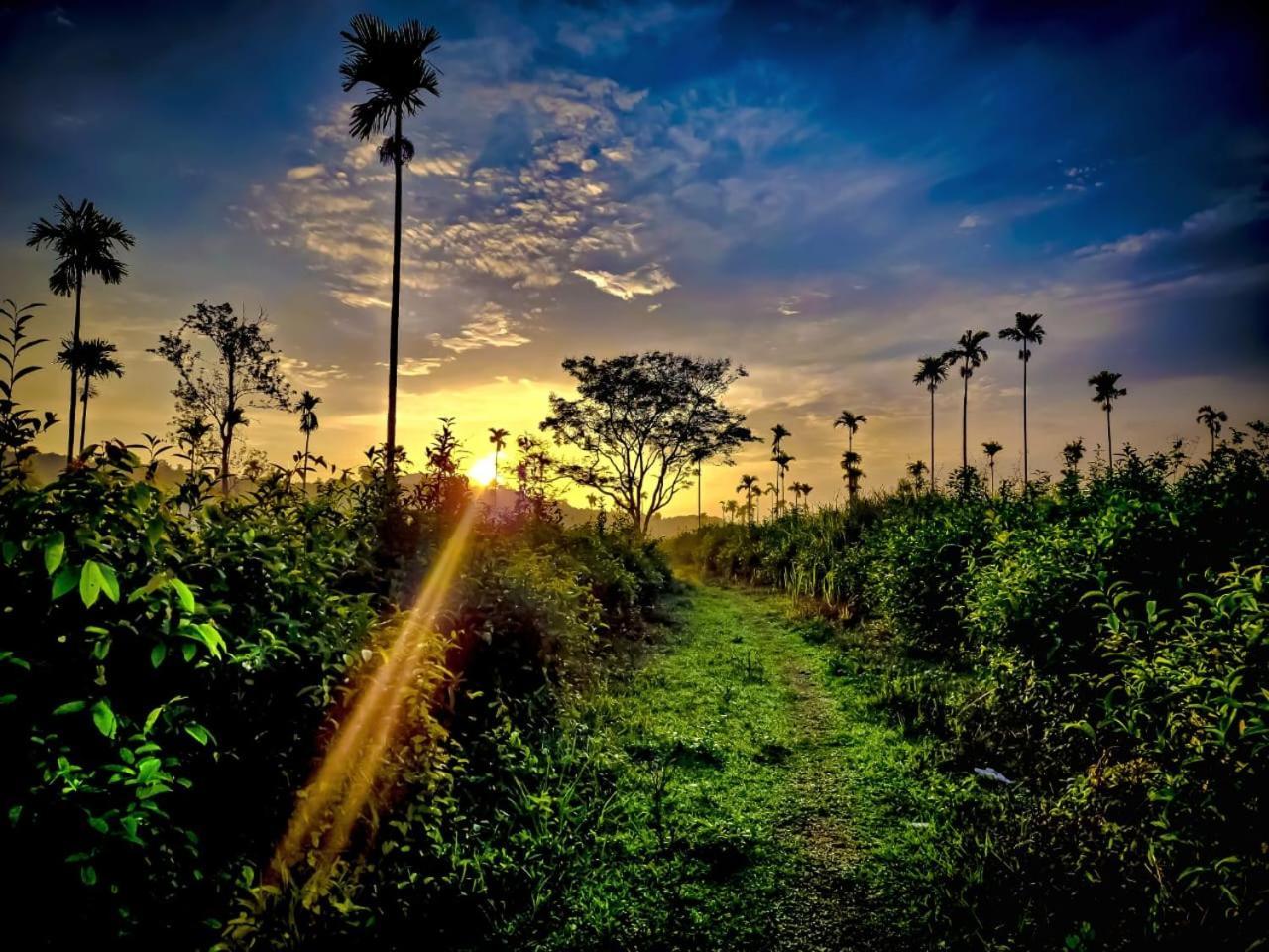 Aldora Holiday Homes Vythiri Bagian luar foto